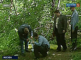    2002 - 2004           15   ,      