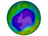  NASA         ,      .         