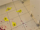            ,  31-     -.        