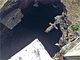    10     .   ,          ,     
