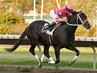    .    brisnet.com