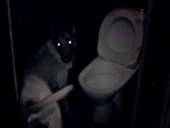  "-".       
